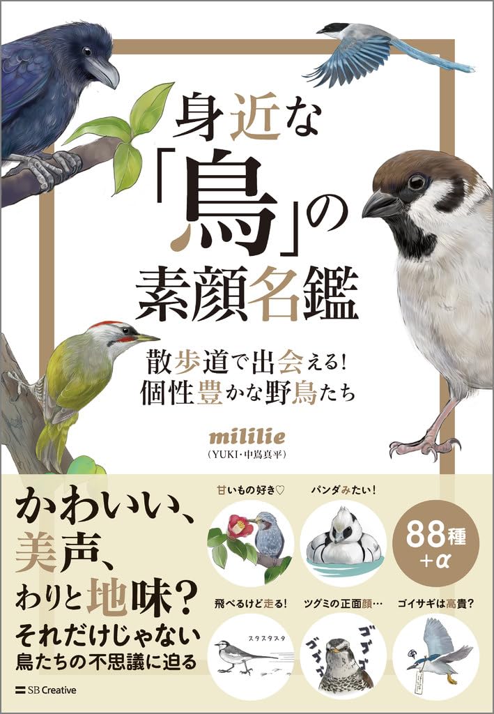 小鳥出品 身近な「鳥」の素顔名鑑 散歩道で出会える！ 個性豊かな野鳥たち